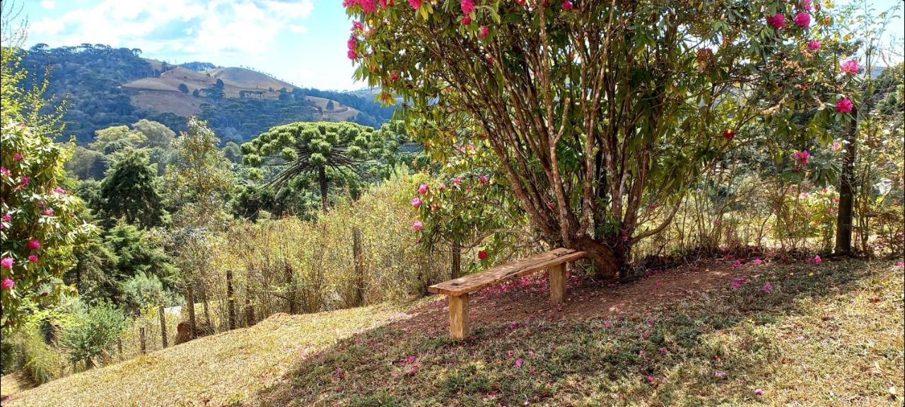 Casa Trilha Villa Campos do Jordão Екстериор снимка